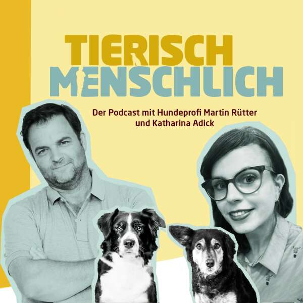 162 - Ist der Dackel eine gesunde Hunderasse? Eine Sonderfolge zum „Dackelverbot“