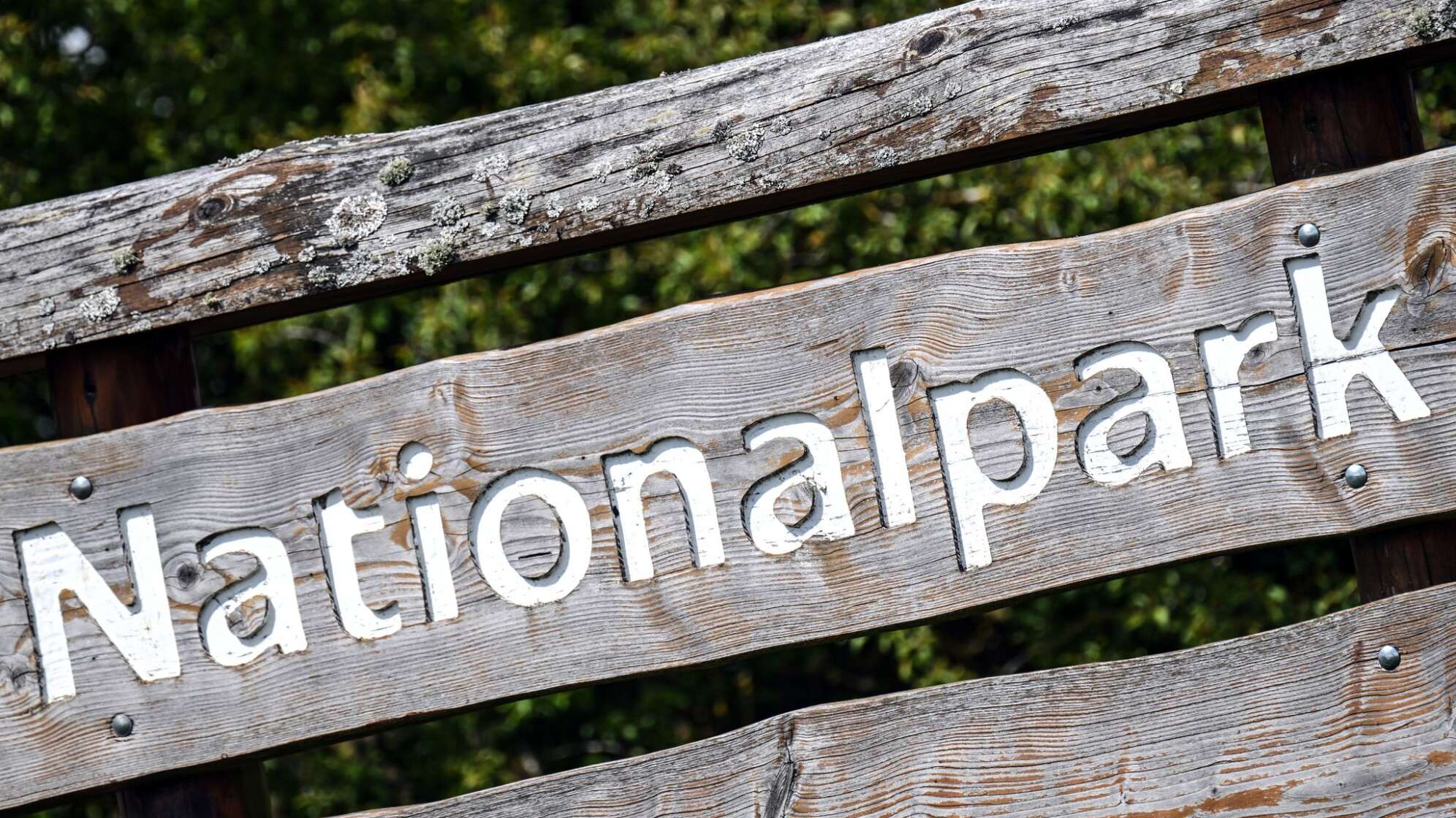 Opposition spießt Koalitionsgerangel um Nationalpark auf