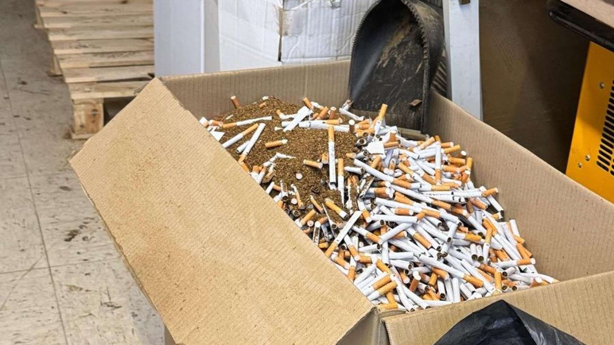 Illegale Zigaretten - 12 Personen sind in Haft