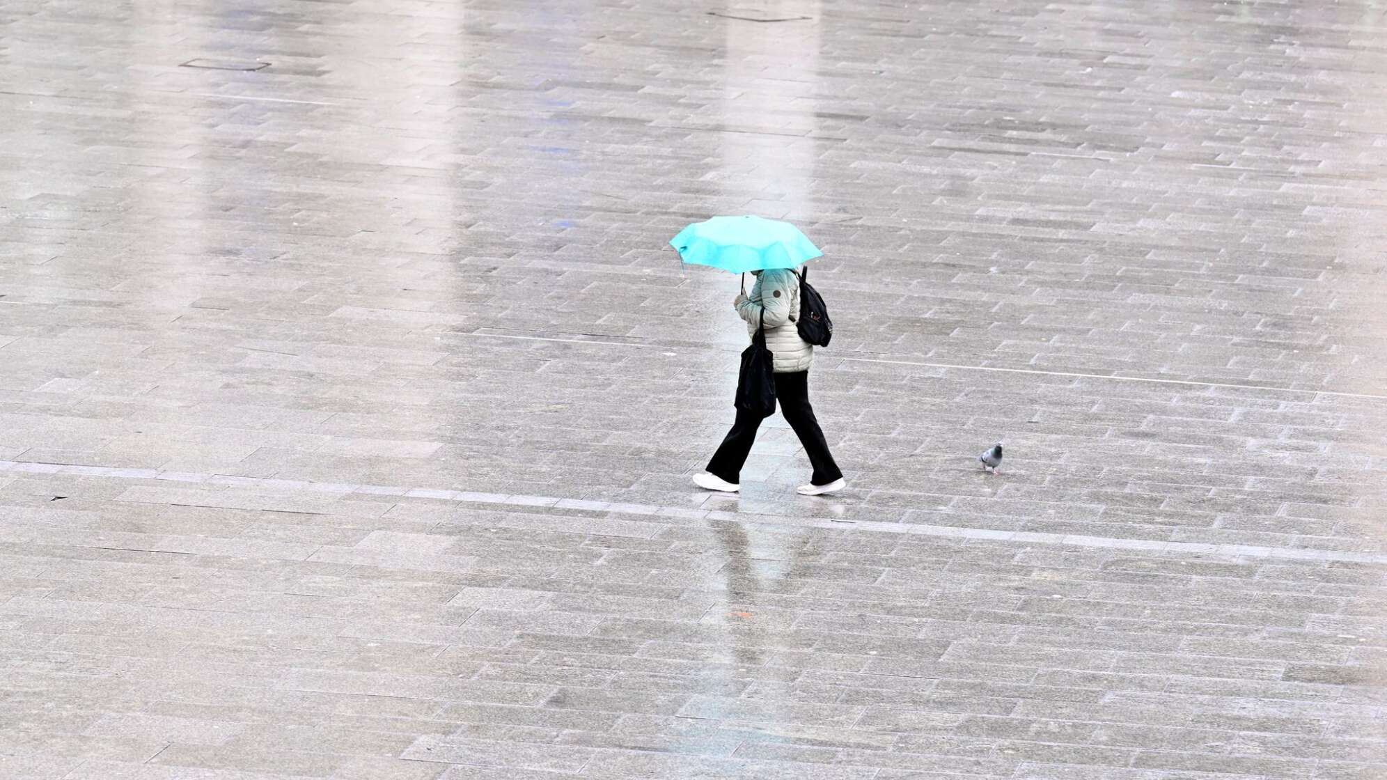Wetter - Köln