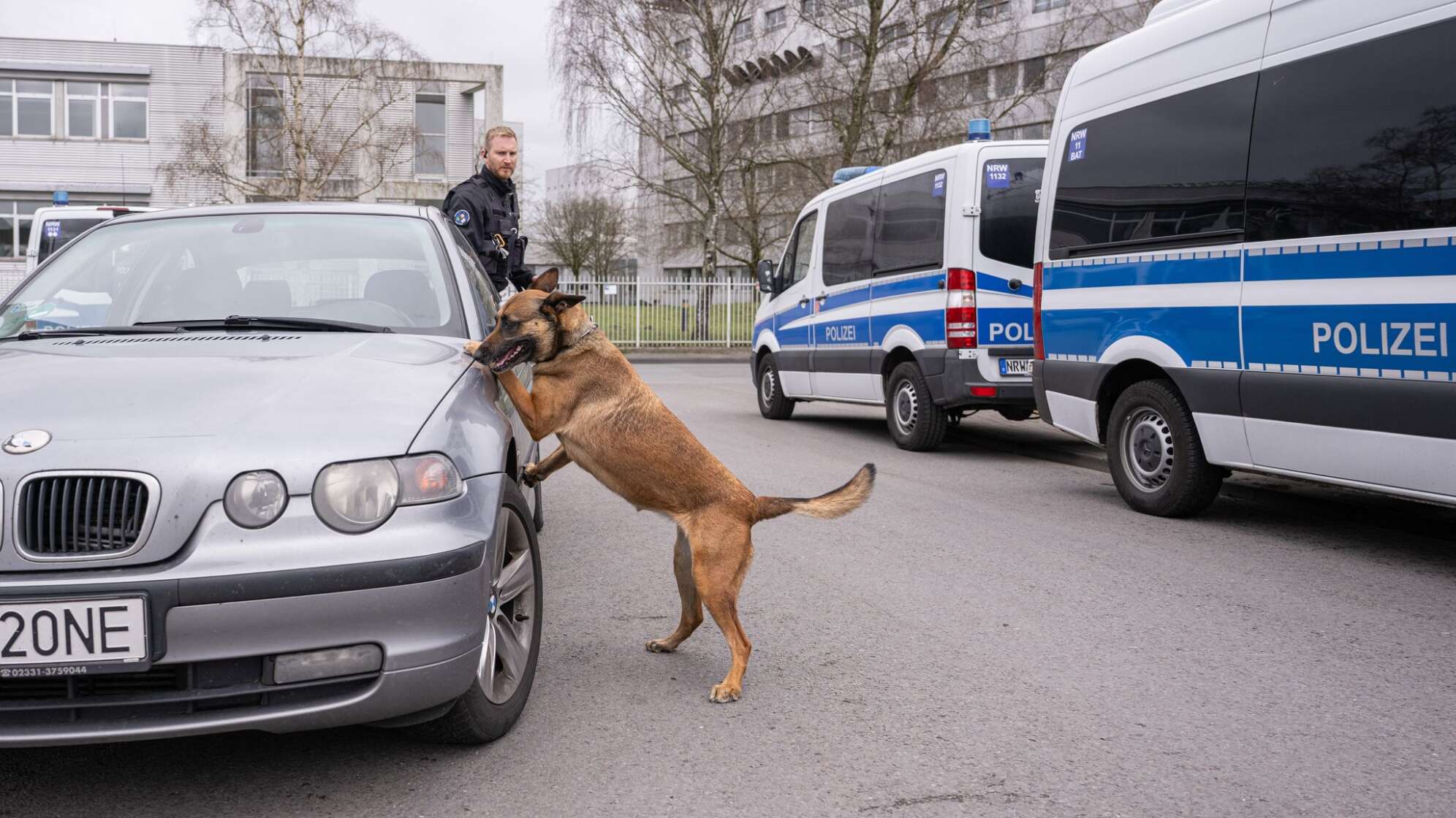 Razzia in drei Bundesländern gegen organisierte Kriminalität