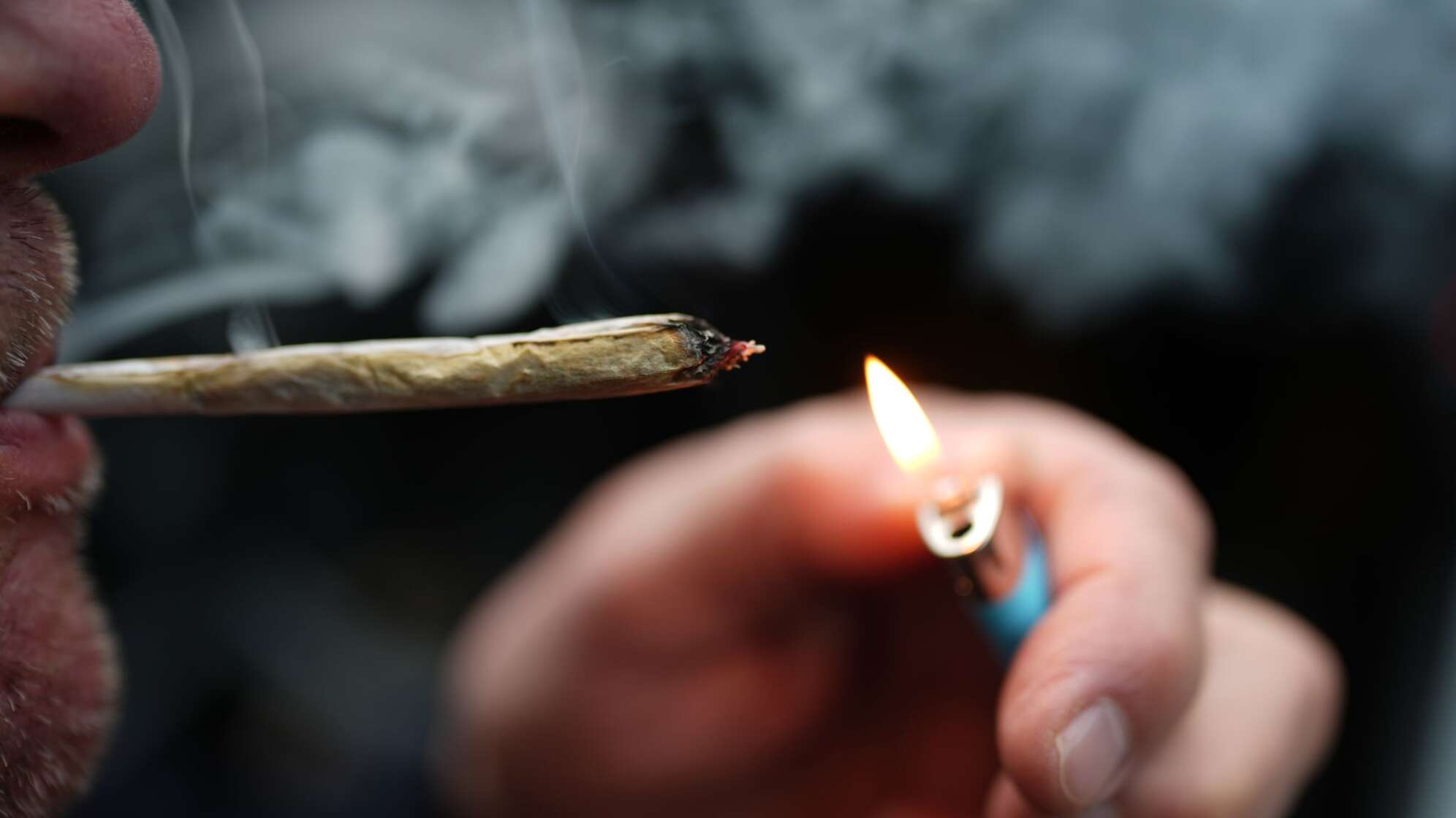 Cannabis