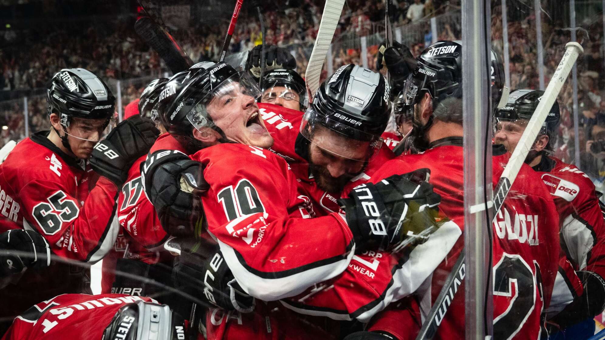 Kölner Haie - ERC Ingolstadt