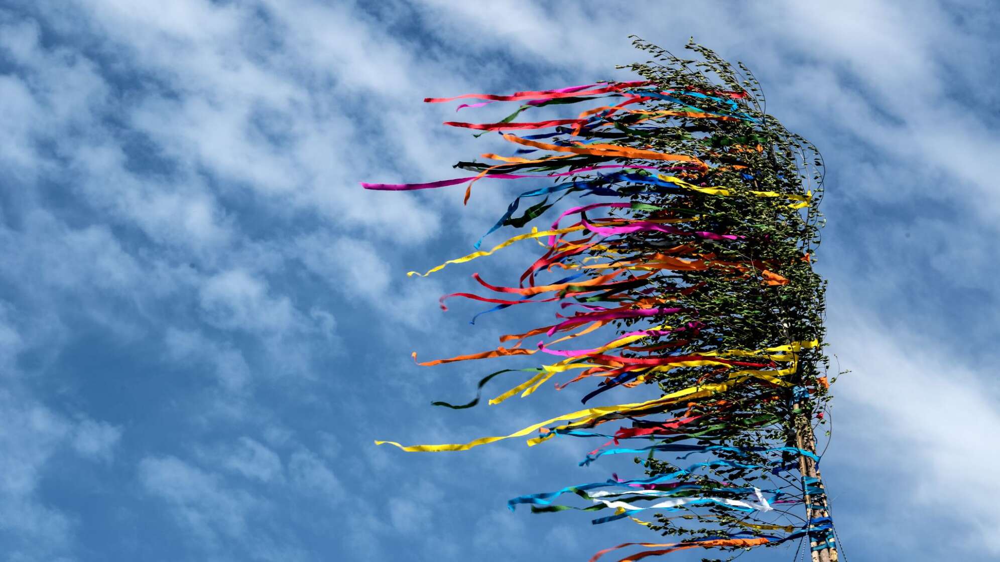 Maibaum