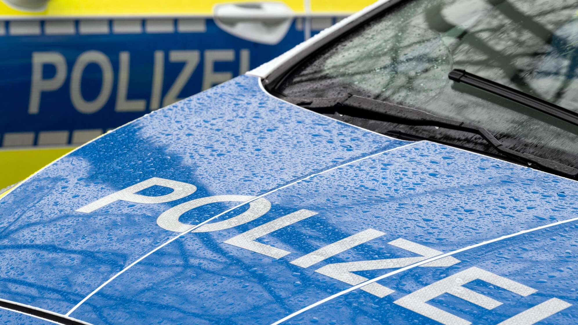 Polizeiautos