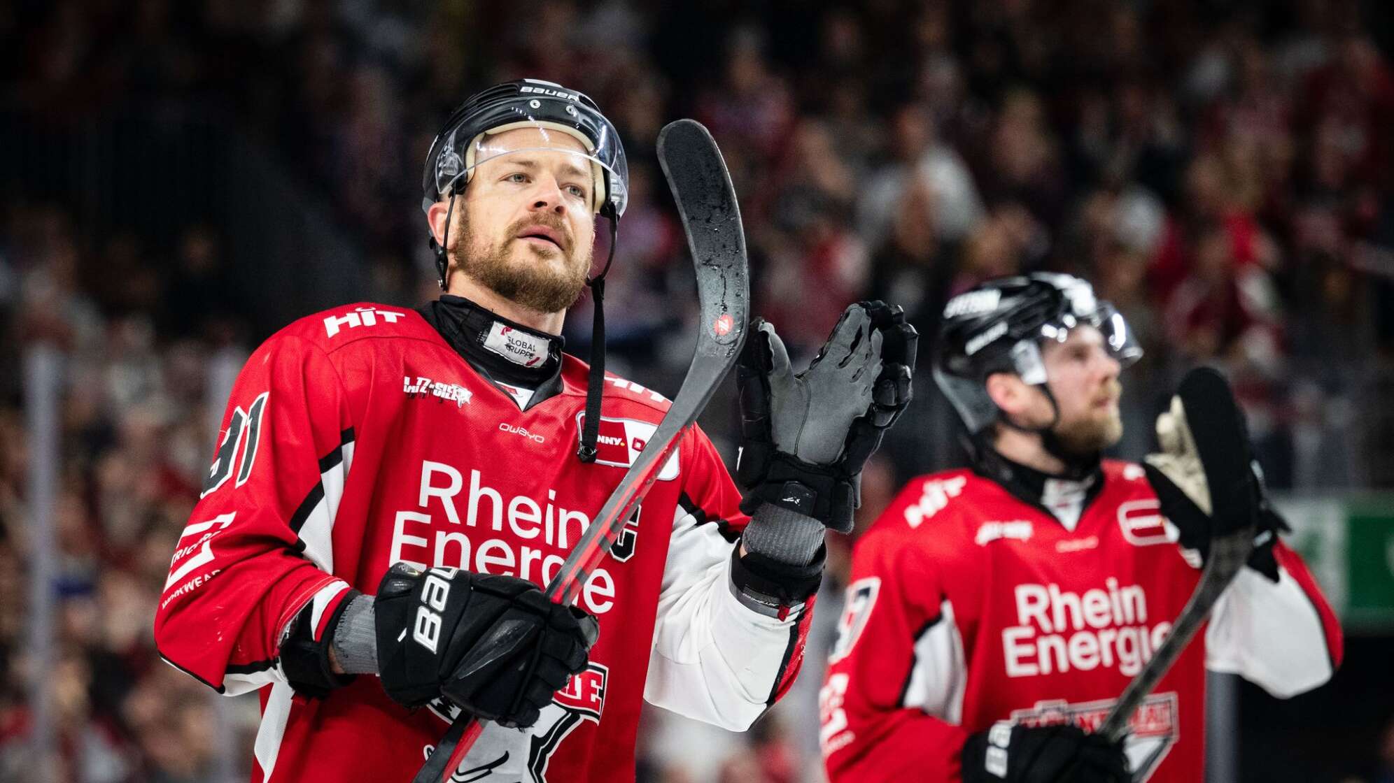 Kölner Haie - Eisbären Berlin