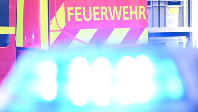 Feuerwehr rettet Hunde und Katzen bei zwei Einsätzen