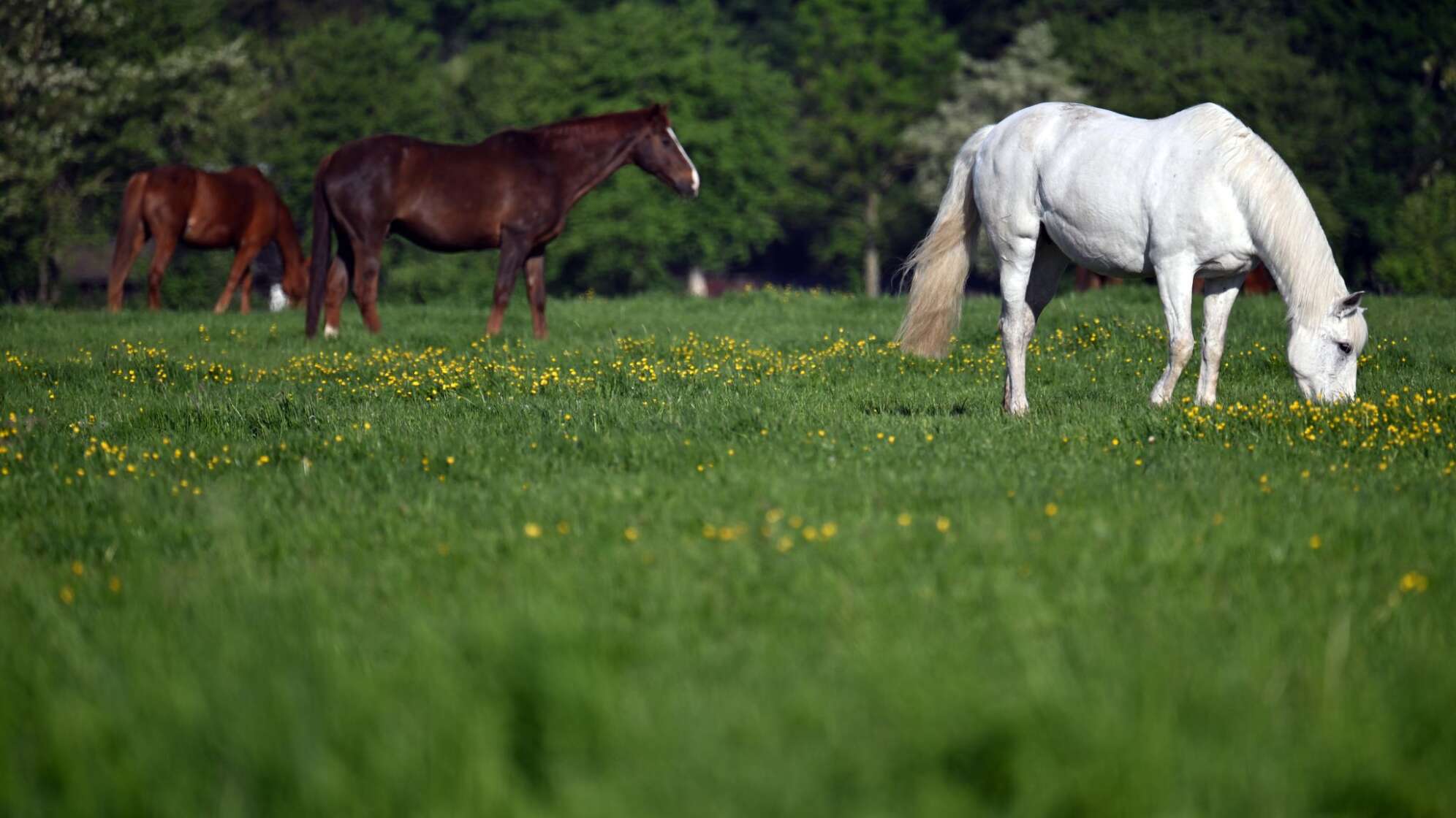 Wetter in Nordrhein-Westfalen
