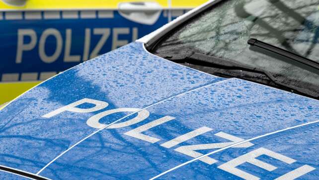 Auto prallt gegen Baum - Säugling und Teenager sterben