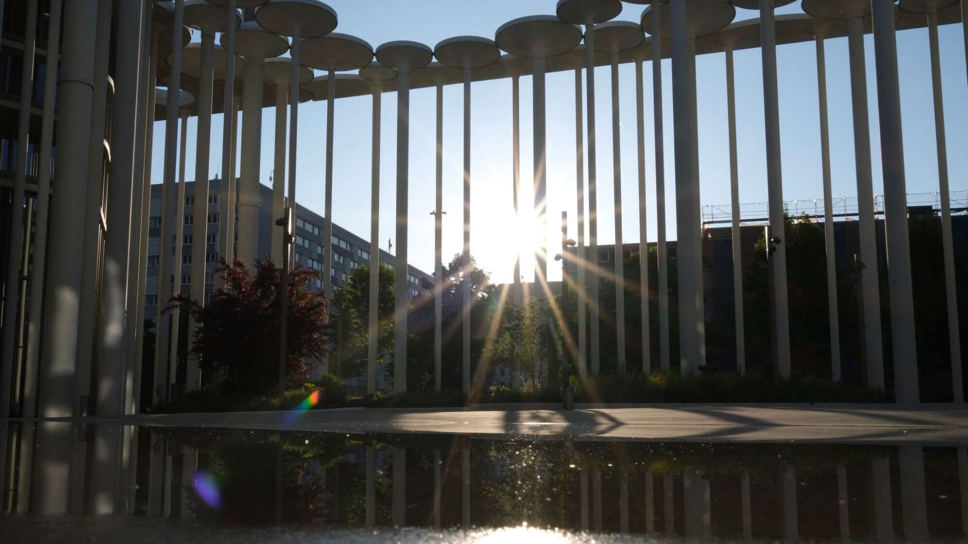 Frühlingssonne