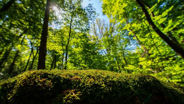 Von wegen langweilig: Ideen gegen den Wander-Frust