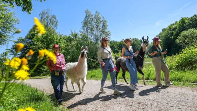 Von wegen langweilig: Ideen gegen den Wander-Frust