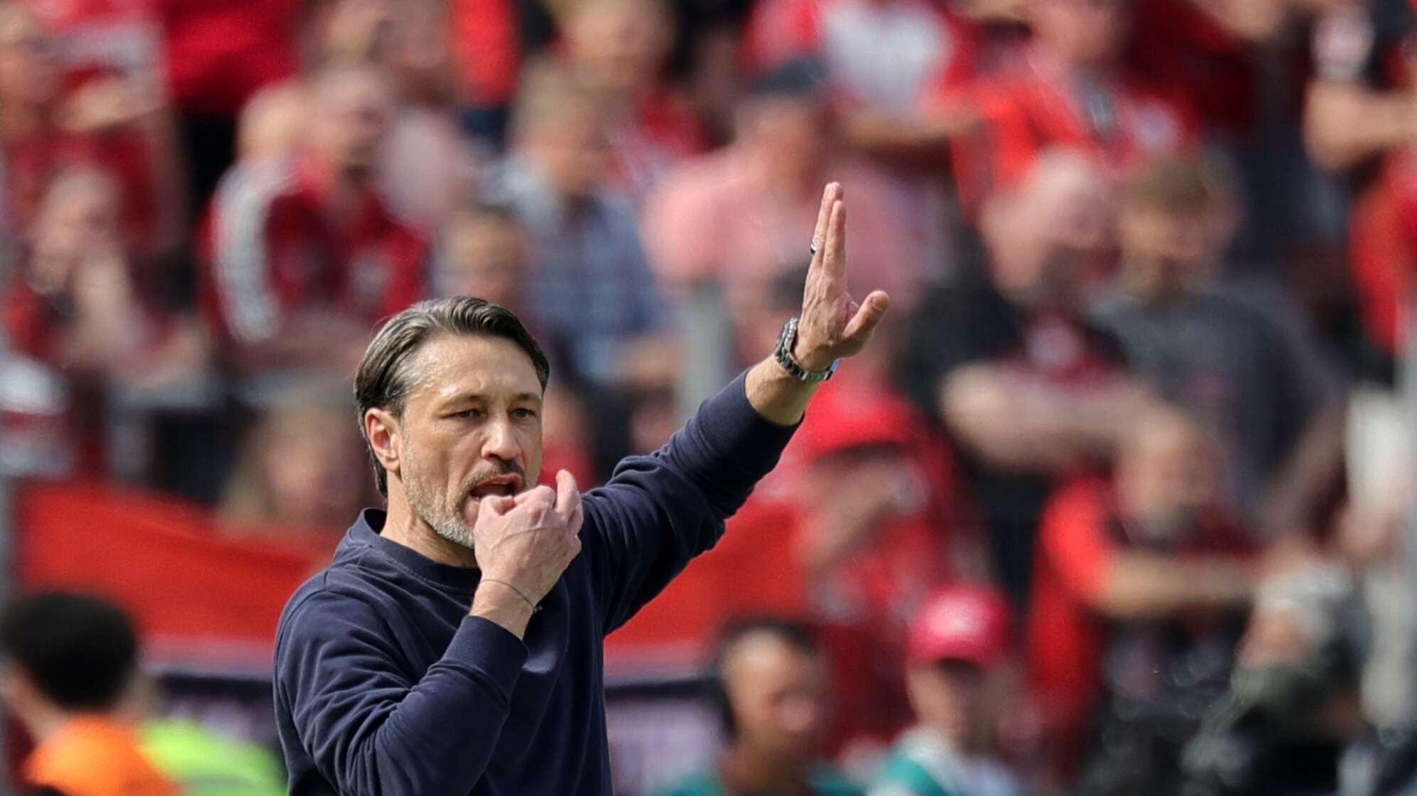 Bayer Leverkusen - Borussia Dortmund