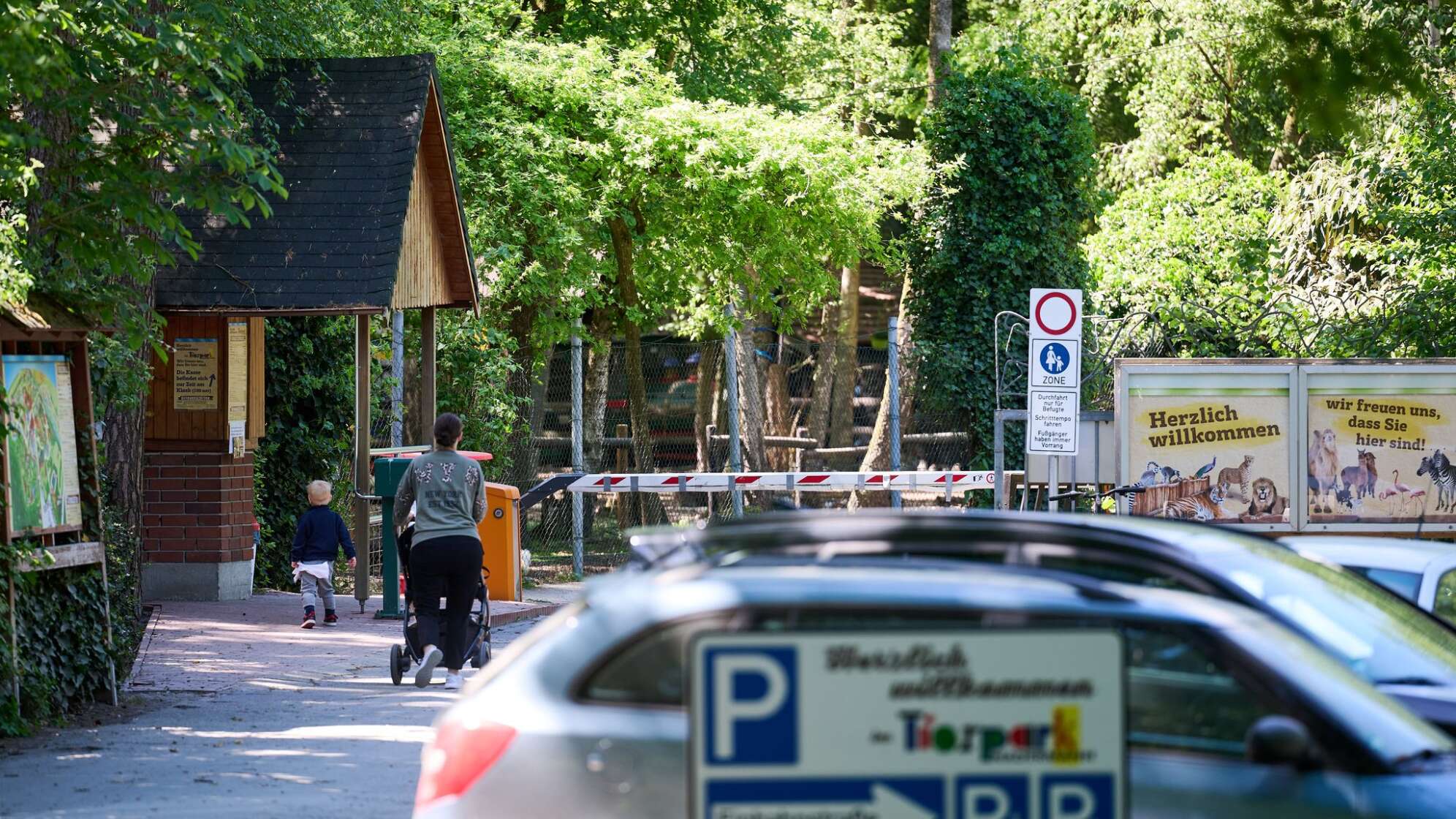 Tiger verletzt Mitarbeiterin in Tierpark