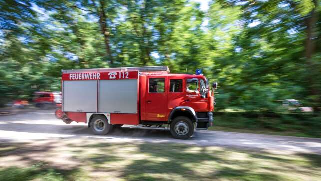 Serie von Waldbränden - vier junge Männer festgenommen