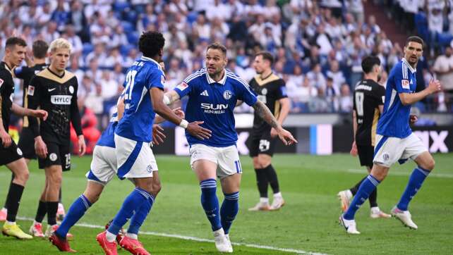 S04-Fans überschütten Team mit Häme - Jubel nur für Lasogga