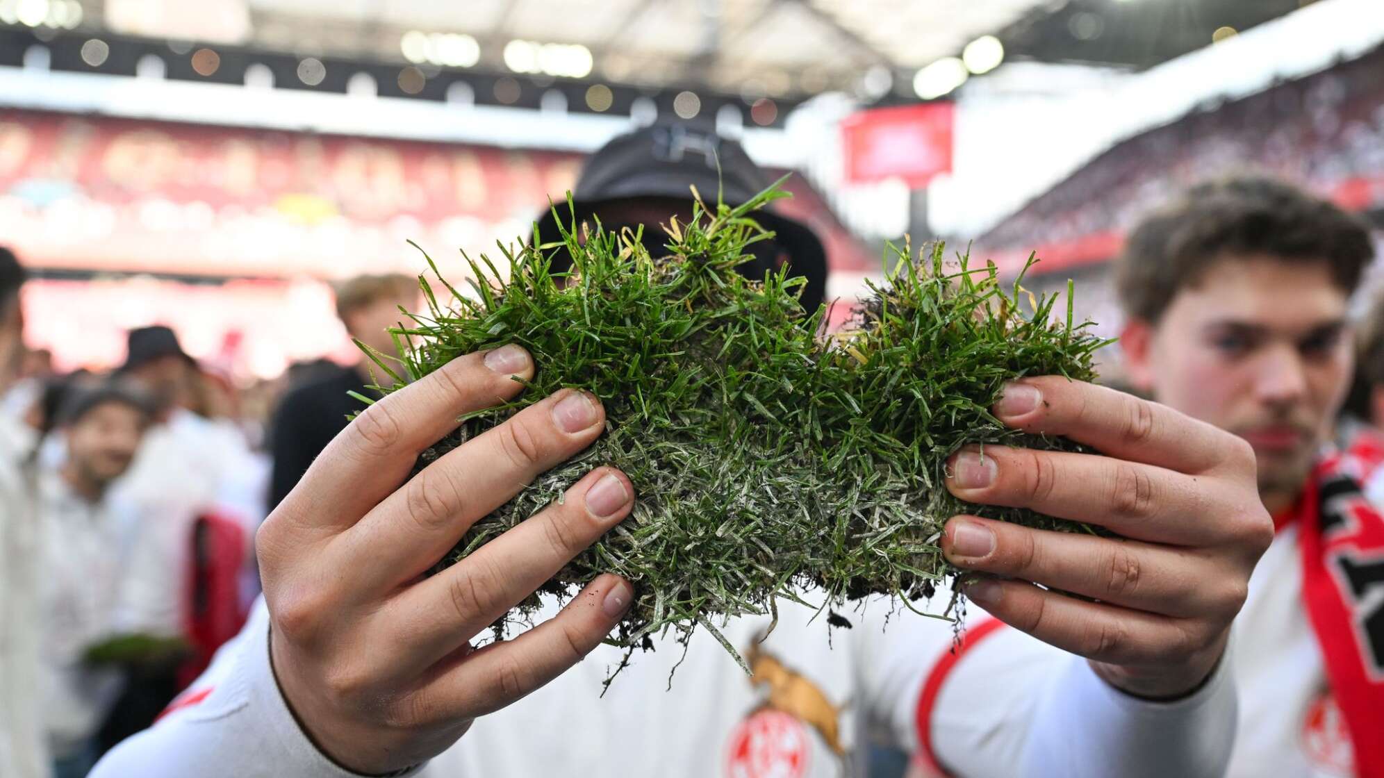 1. FC Köln - 1. FC Kaiserslautern