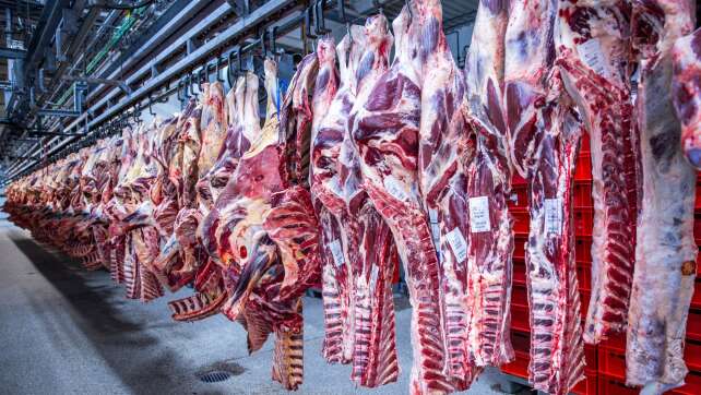 Zahl der Schweineschlachtungen wieder leicht gestiegen