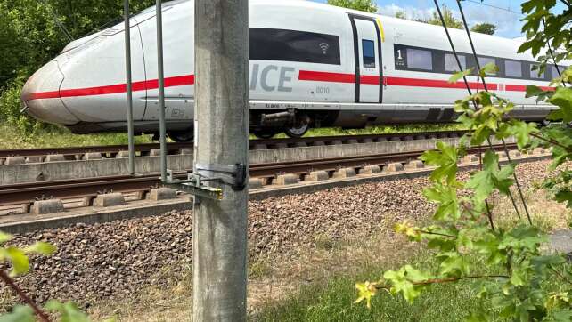 Mit Piepsen und Blinken Wildunfälle auf Gleisen vermeiden