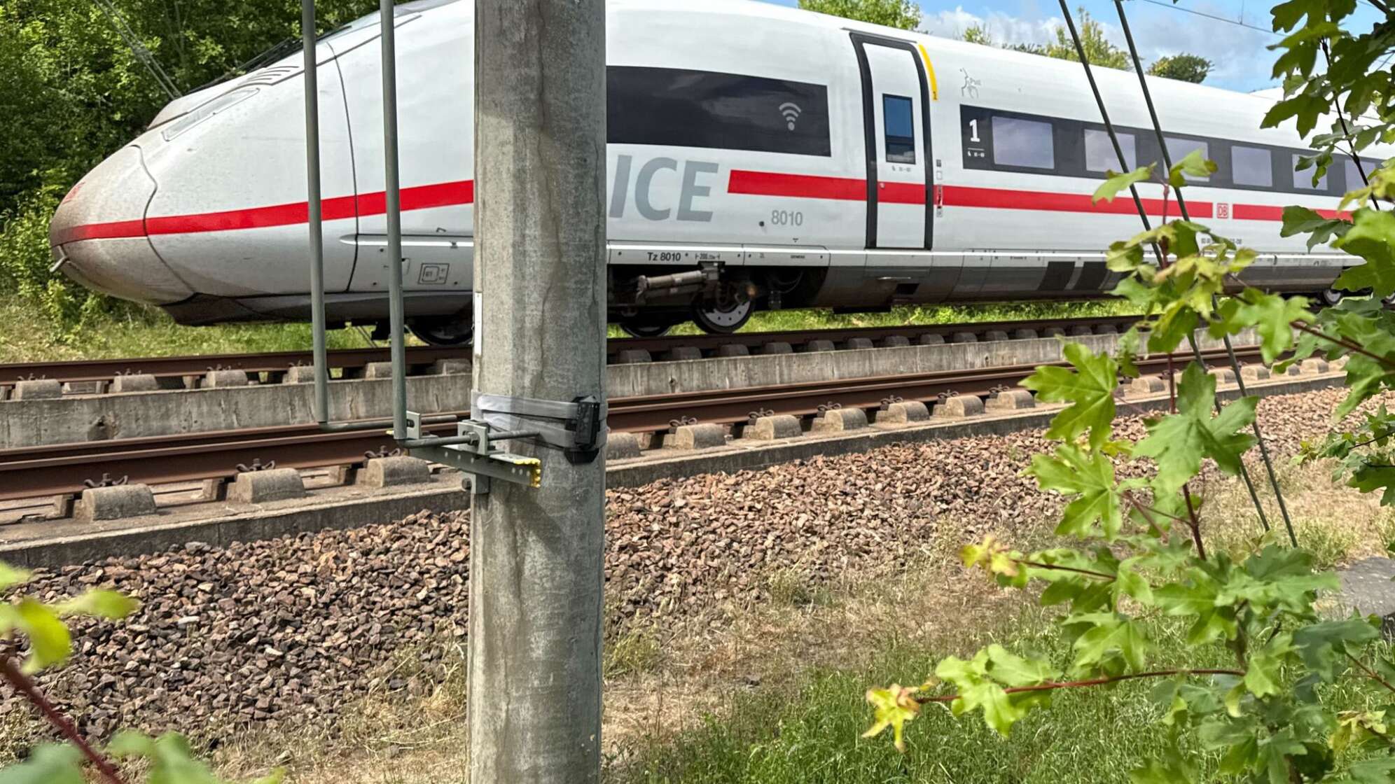 Mit Wildwarnern gegen Wildunfälle