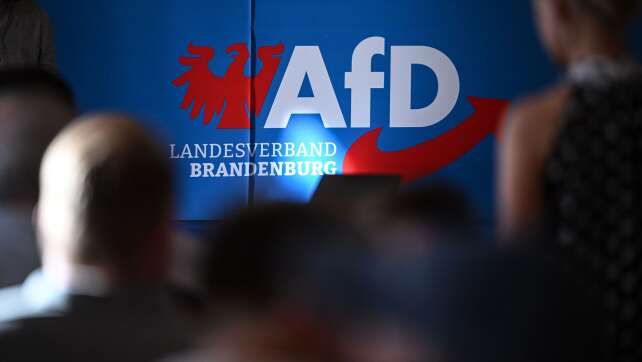 Brandenburger Verfassungsschutz setzt AfD-Hochstufung aus