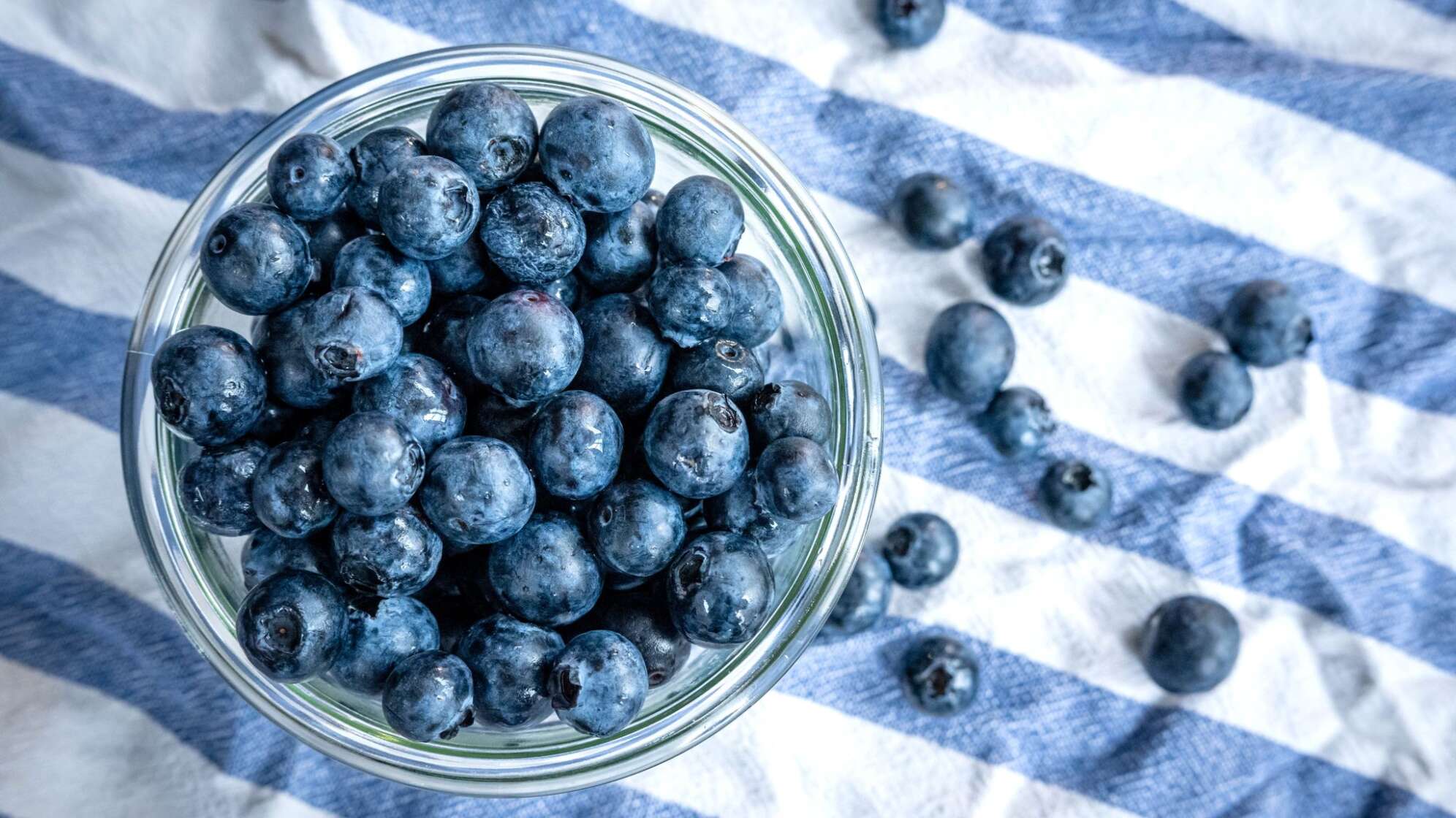 Heidelbeeren