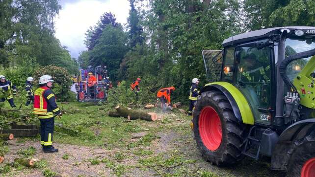 Nach Blitzeinschlag - Feuerwehr fällt 100 Jahre alten Baum
