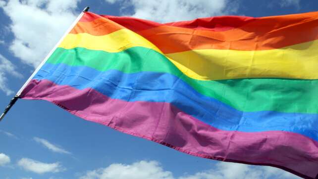 CSD-Demos sehen sich zunehmend Bedrohungen ausgesetzt