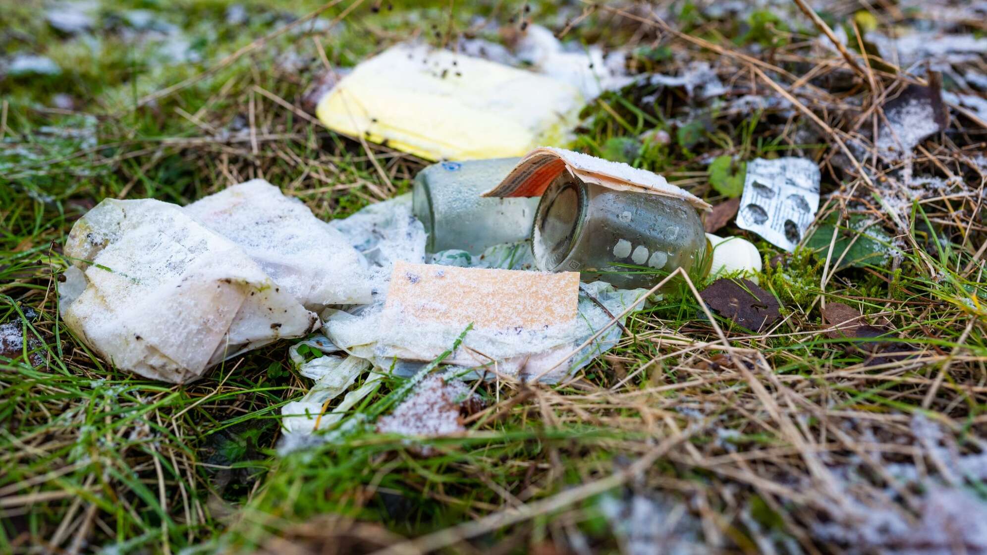 Fünfstellige Bußgelder für Abfall im Wald - auch Biomüll