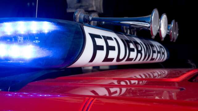 Mehrere Pferde sterben bei Brand in Melle