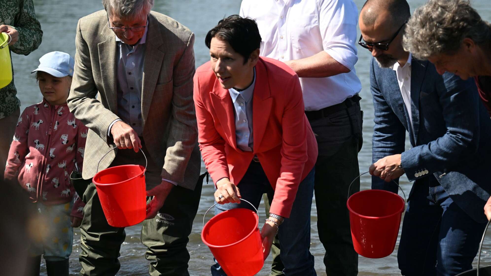 Maifischlarven werden im Rhein ausgesetzt