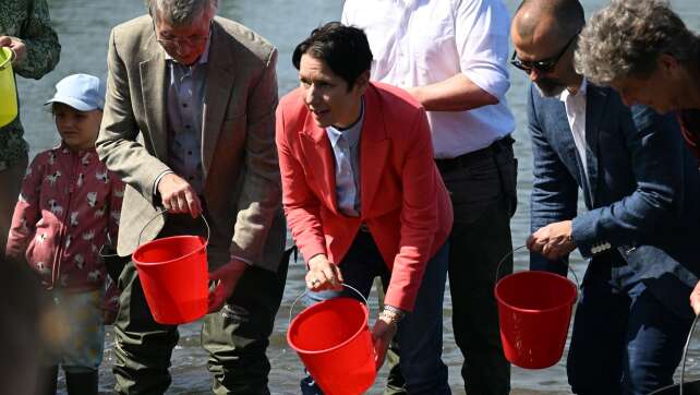 Gorißen setzt Maifischlarven in den Rhein