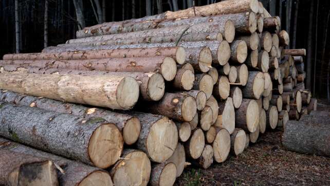 Forstarbeiter bei Siegburg von Baum erschlagen