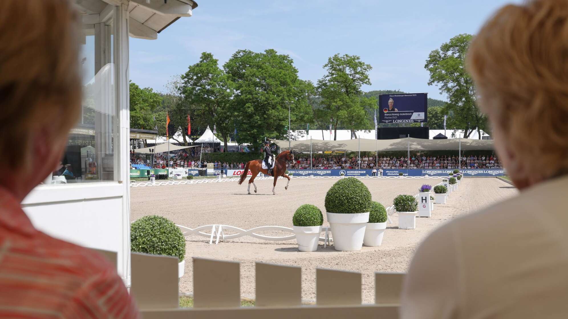 Pferdesport/Dressur: Deutsche Meisterschaft