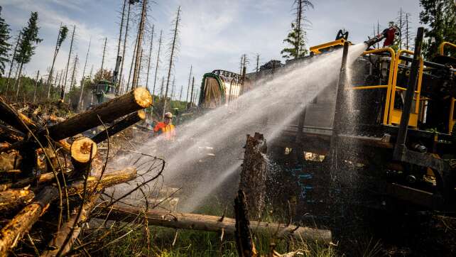 Waldbrand am Möhnesee schwelt weiter - aber kontrolliert