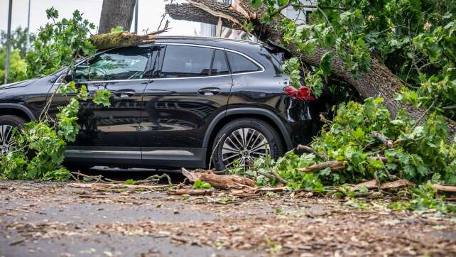 Nach Sturm-Chaos: Bahn-Verkehr in Berlin weiter gestört