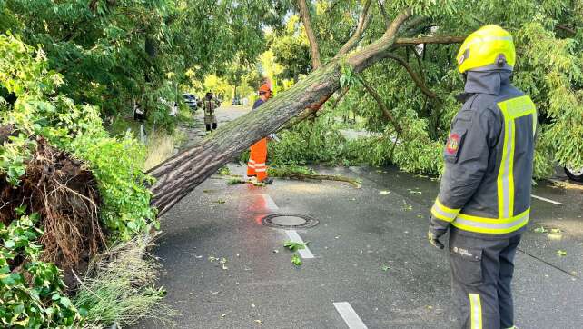 Unwetter ziehen über Teile Deutschlands