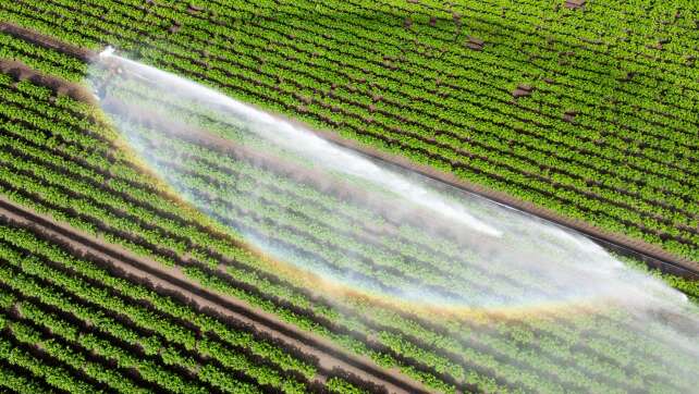 Kommunen: Bürger auf Wasserknappheit bei Hitze vorbereiten