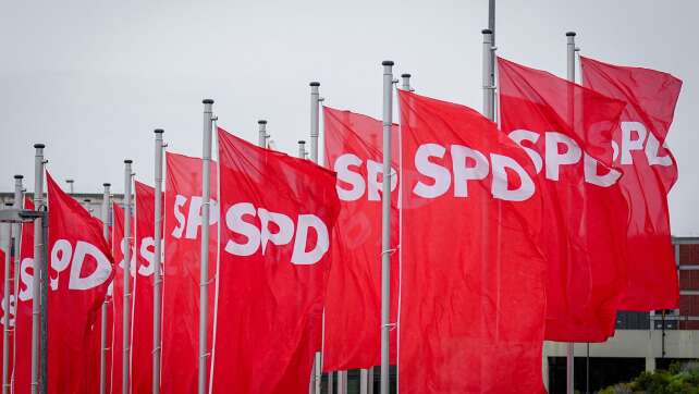 SPD-Politiker: AfD-Verbotsverfahren ernsthaft prüfen