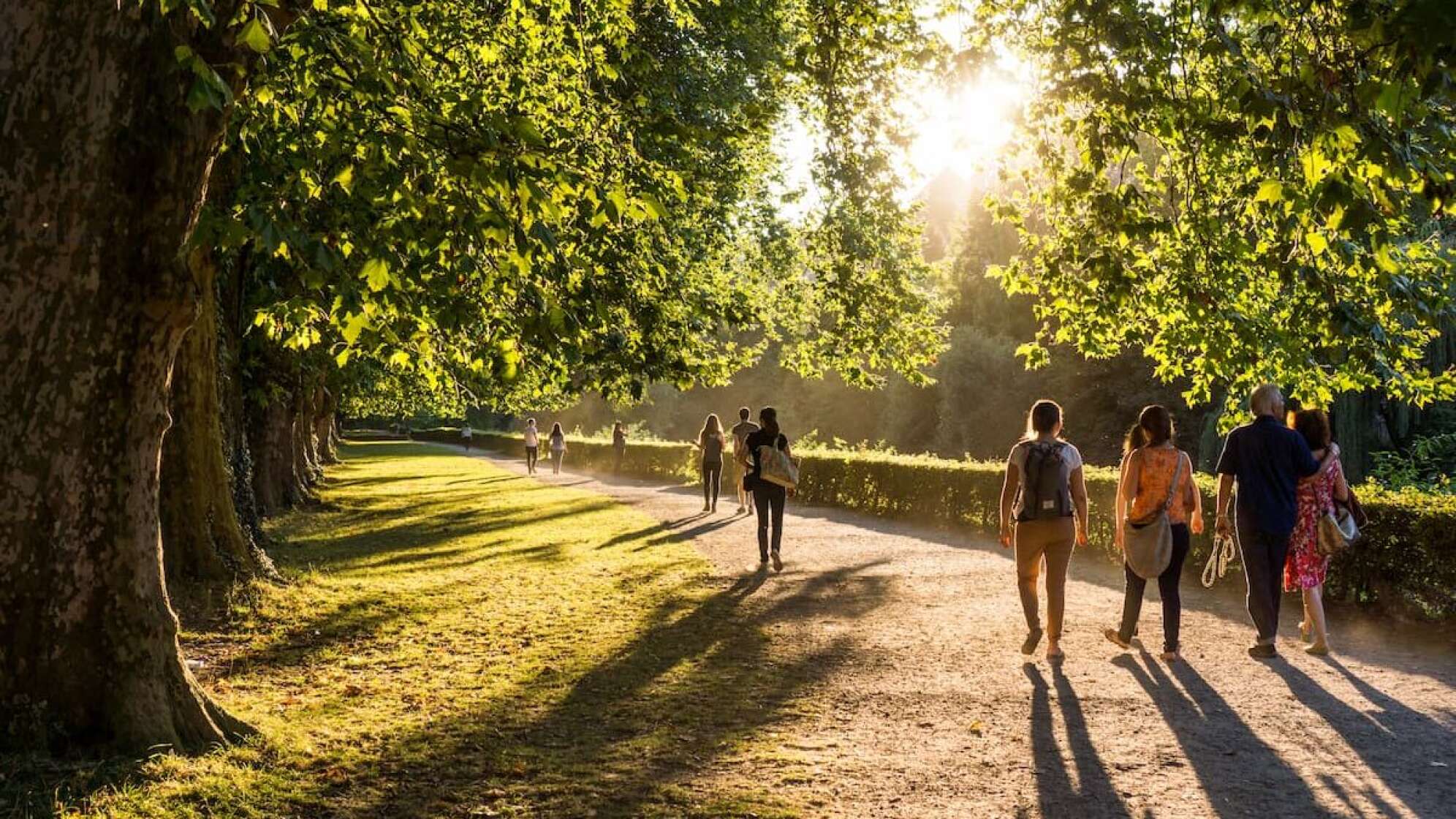 Menschen, die im Park spazieren