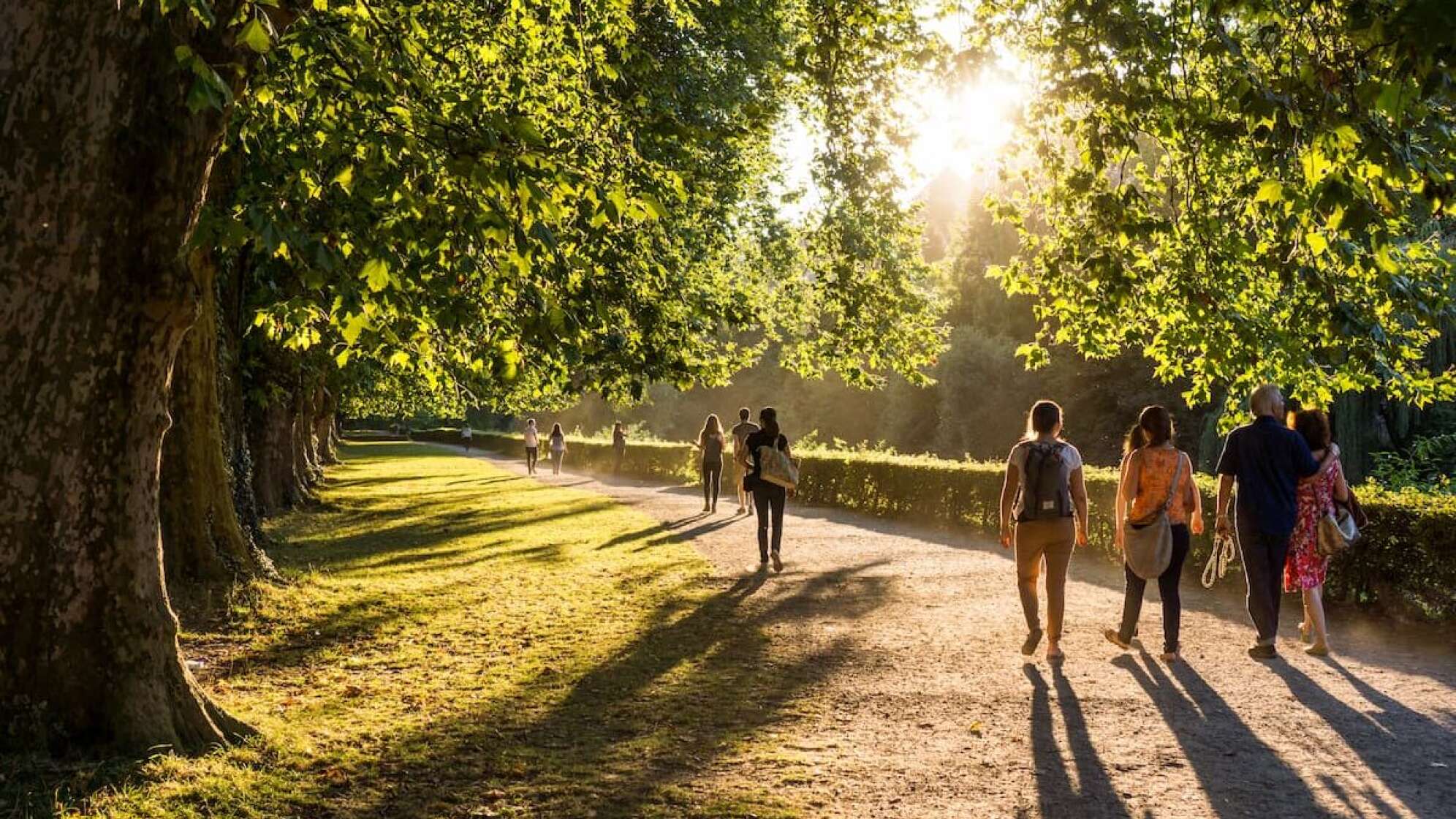 Menschen, die im Park spazieren