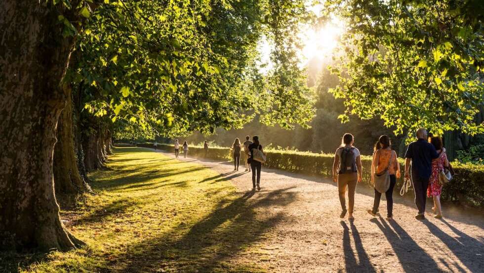 Für ein längeres Leben: So viele Schritte solltet ihr täglich gehen