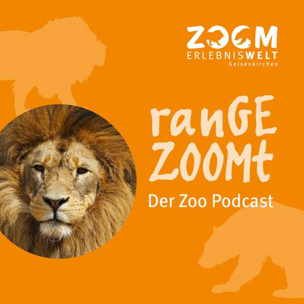 ranGEZOOMt - Zwei neue Tierarten in der Erlebniswelt Afrika