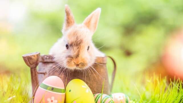 Was hat der Osterhase mit Ostern zu tun?