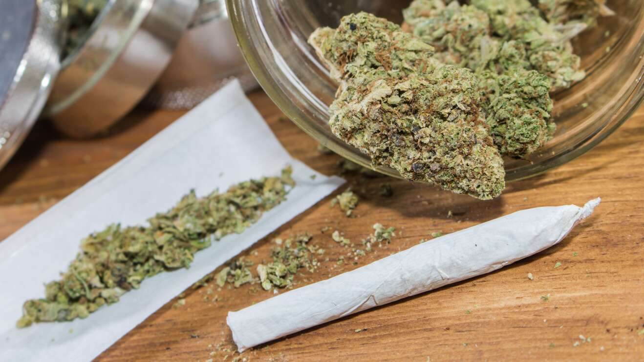 Cannabis