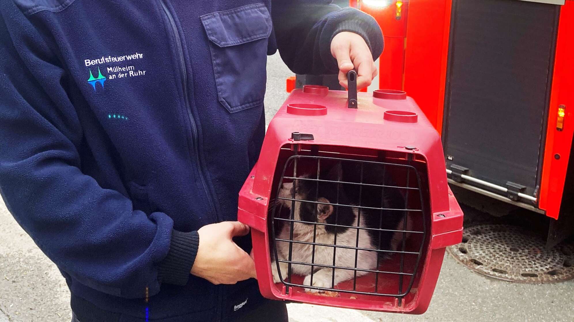Feuerwehr befreit Katze aus Kaminschacht