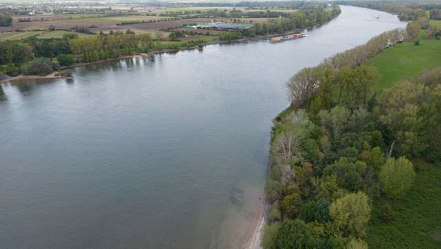 Hochwasser auf dem Rhein - «Keine kritischen Werten»