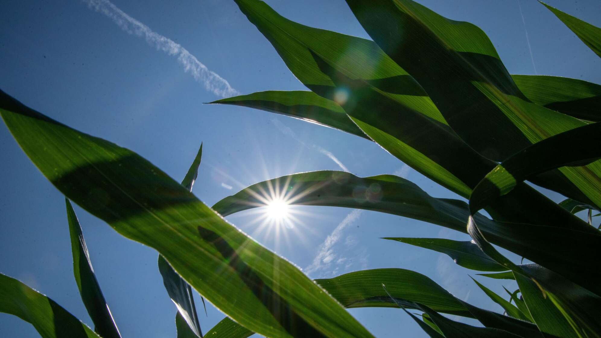 Sommerwetter in Nordbayern