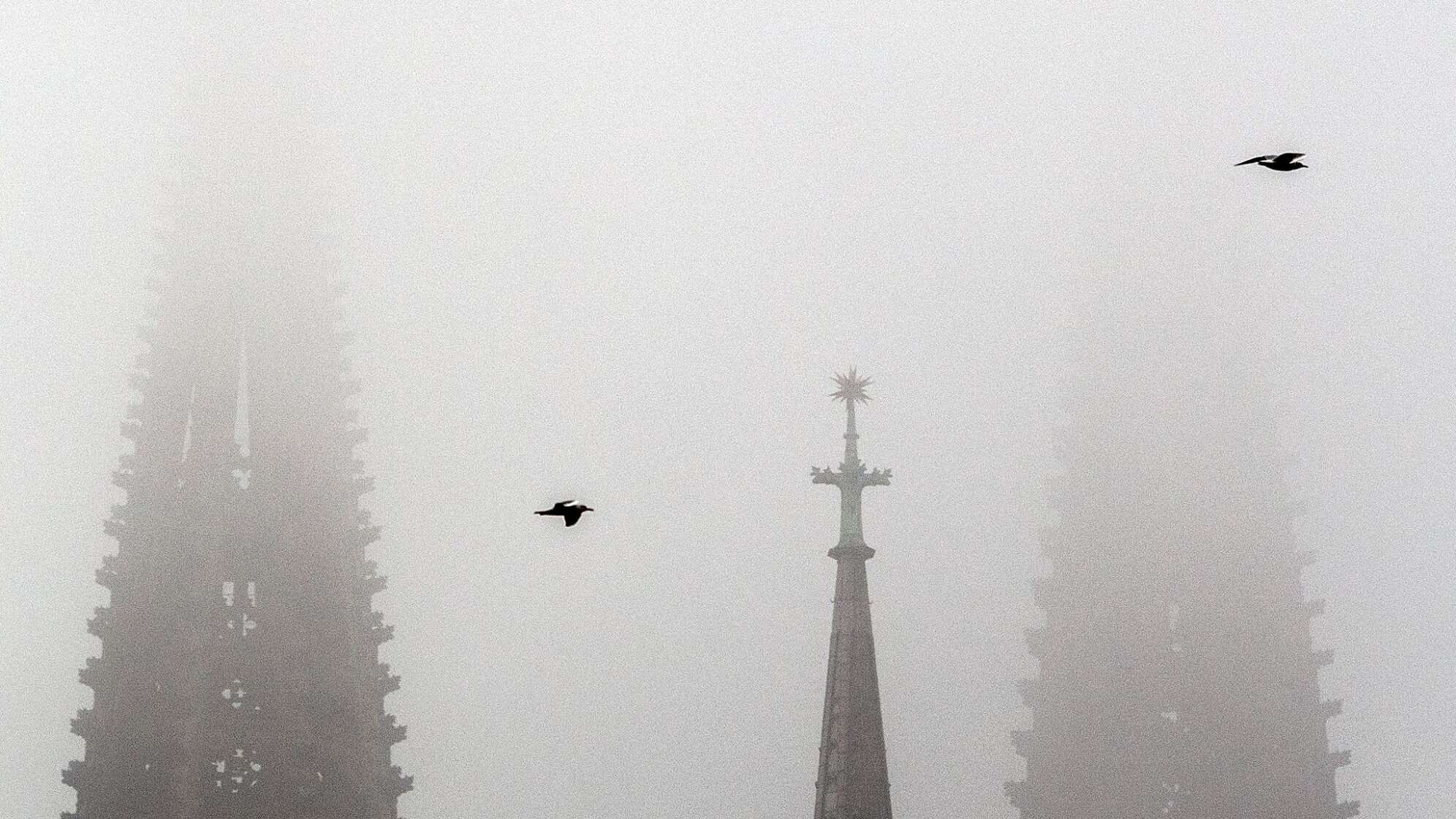 Nebel in NRW