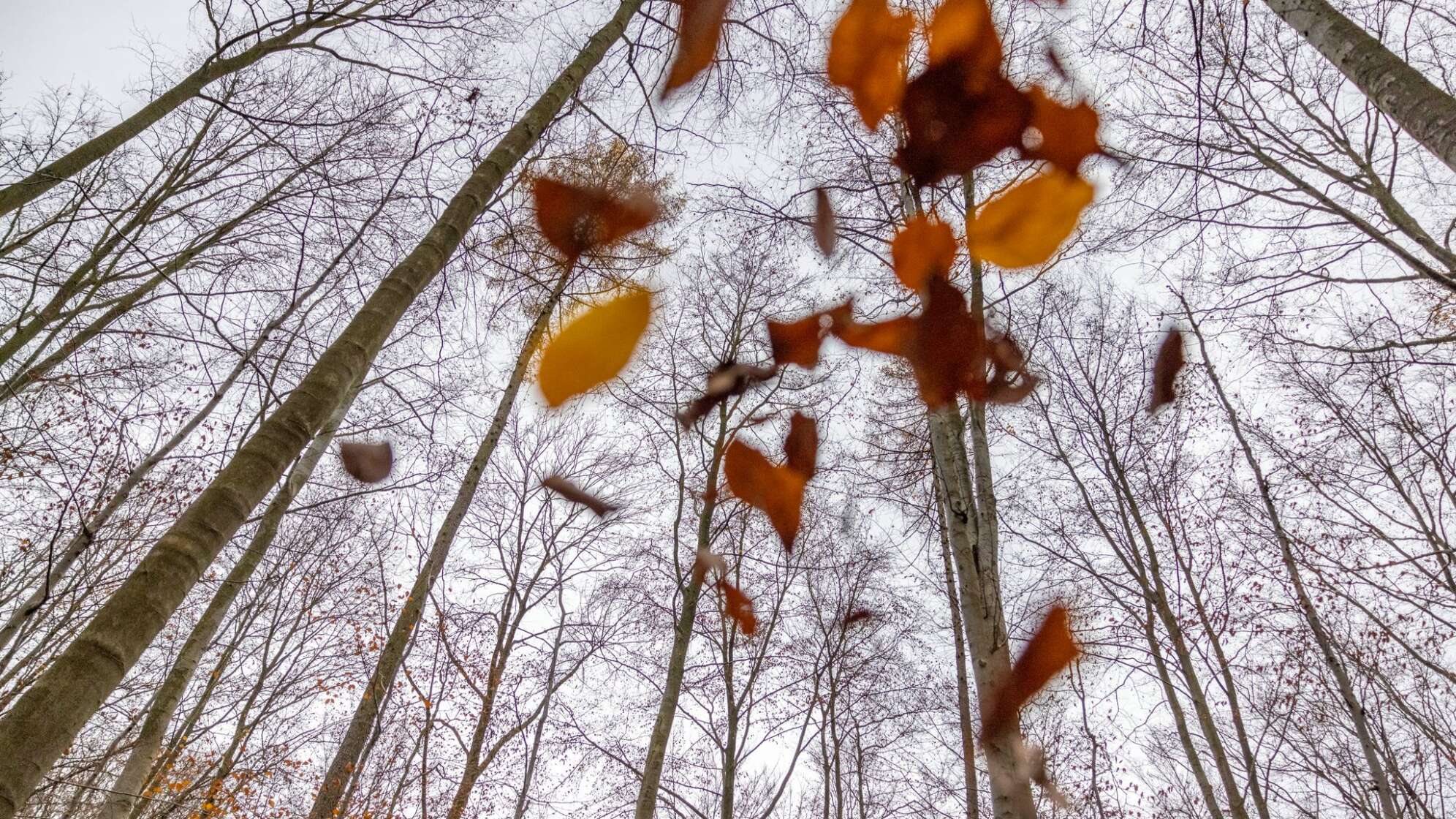 Wetter in Nordrhein-Westfalen